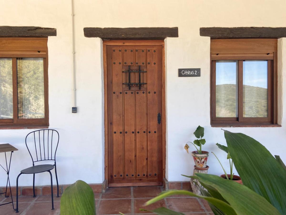The Wild Olive Andalucia Citrus Suite Casares Exterior photo